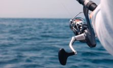 Angeln in Norwegen: Ein Paradies für Angler