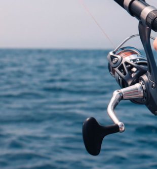 Angeln in Norwegen: Ein Paradies für Angler